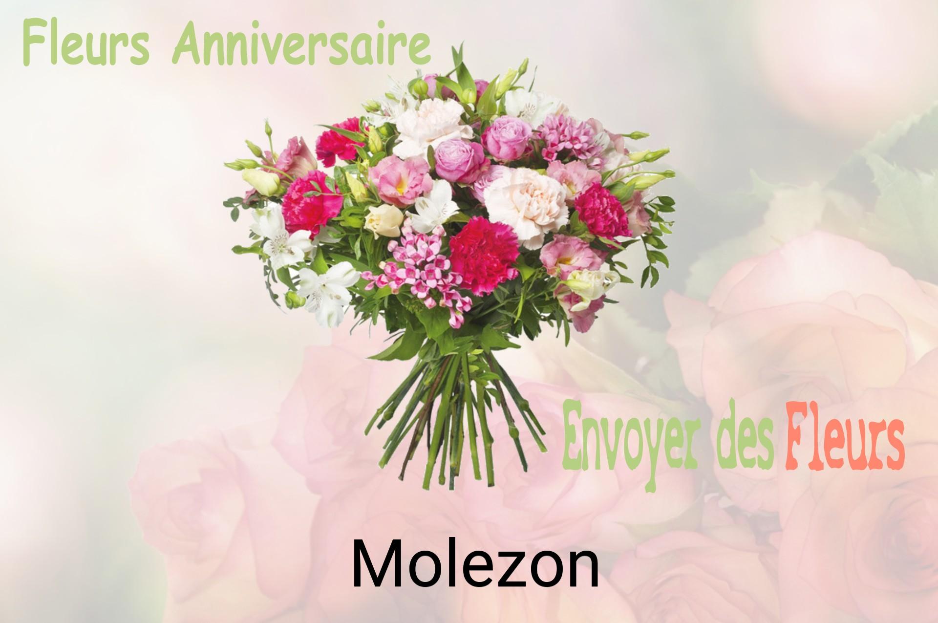 Bouquet de fleurs d’anniversaire livré à Molezon