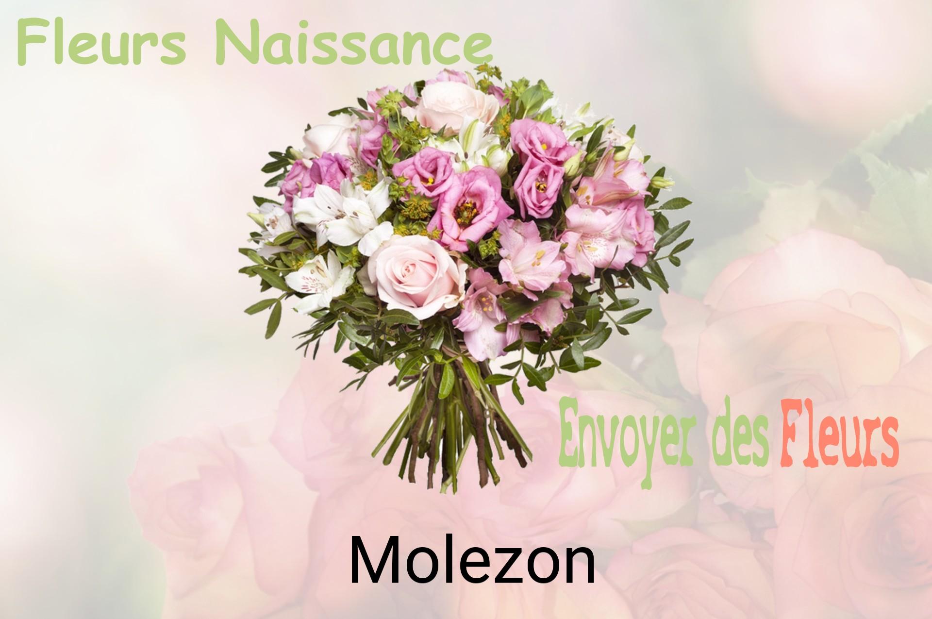Bouquet de fleurs de naissance livré à Molezon