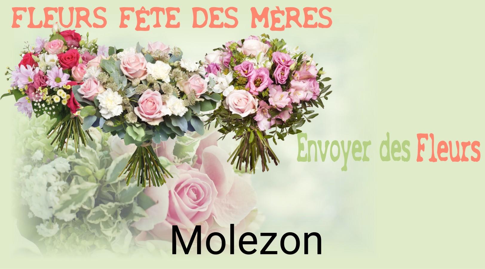 Bouquet de Fête des Mères livré à Molezon